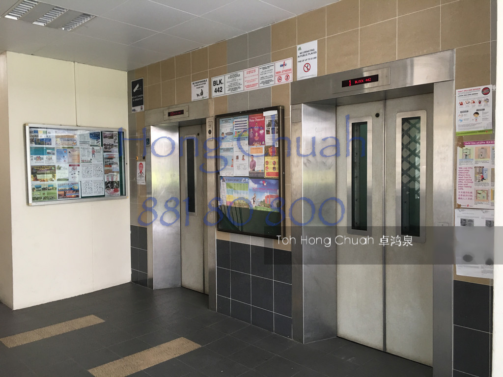 Blk 442 Choa Chu Kang Avenue 4 (Choa Chu Kang), HDB 4 Rooms #131973552
